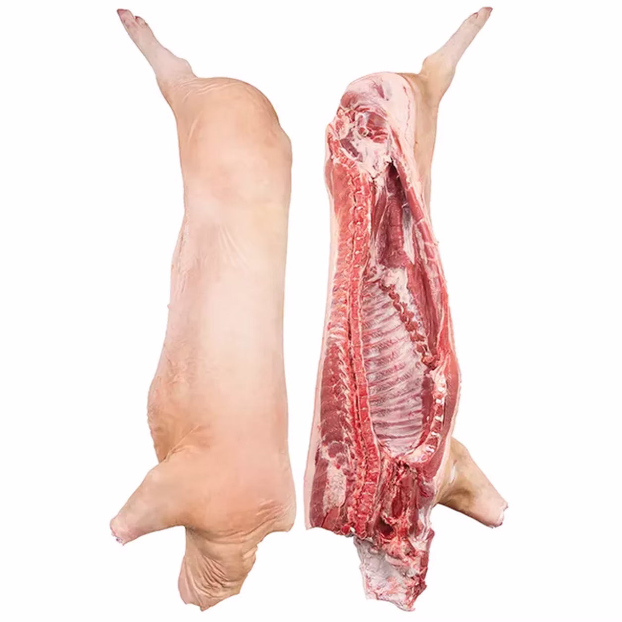 Frozen Pork Carcass