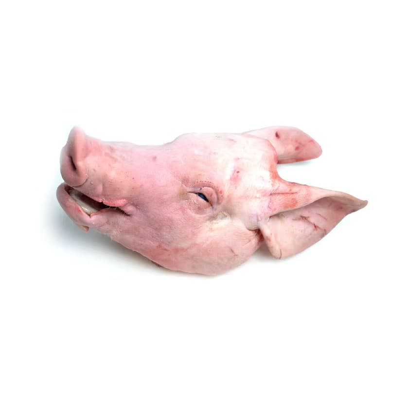 Frozen Pork head